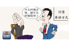 新青融资清欠服务