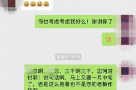 新青贷款清欠服务